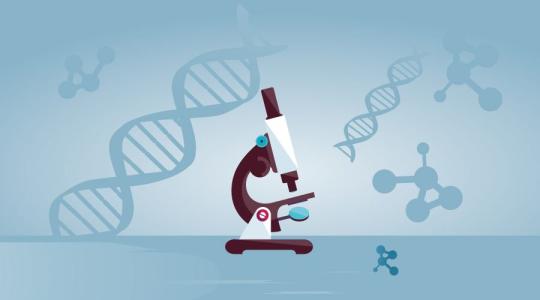 无创HLA分型检测