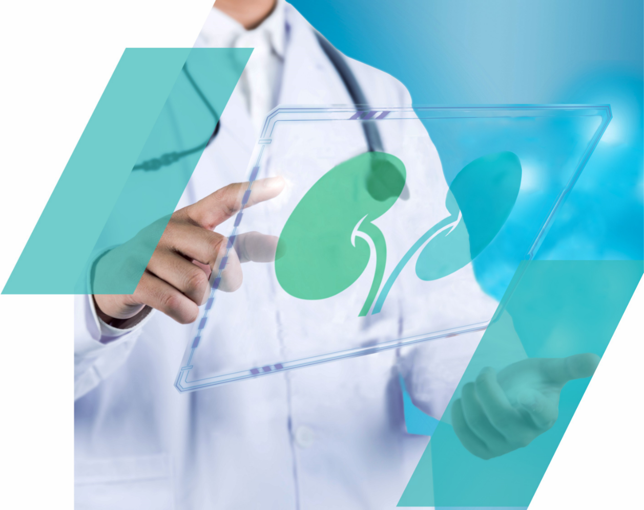 肾移植无创排斥检测