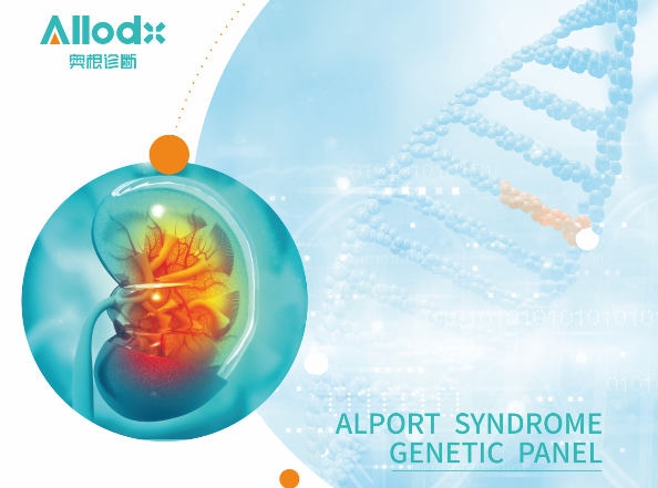 全新上市 | 奥根诊断Alport综合征全基因检测