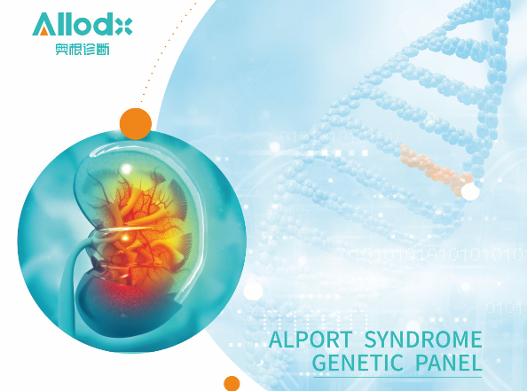 遗传性肾脏病基因检测