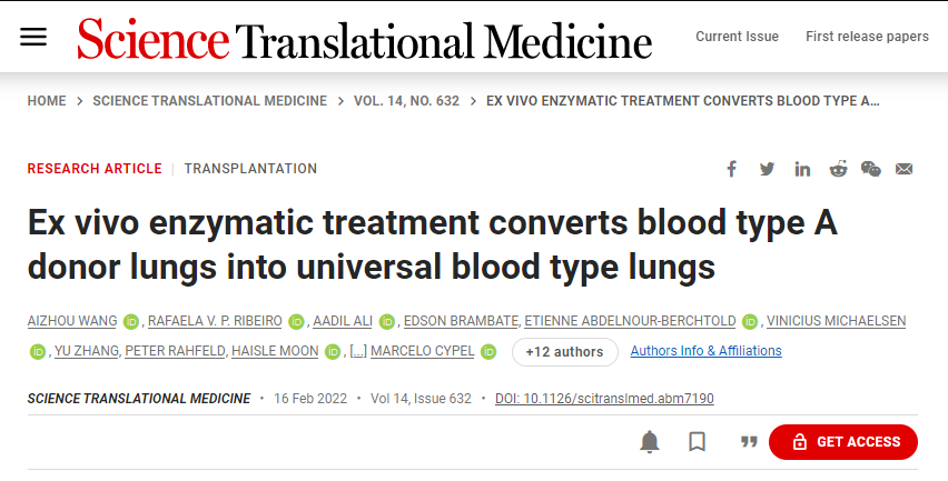 前沿资讯丨研究人员通过酶处理将A型血供体肺转变为通用血型供肺肺