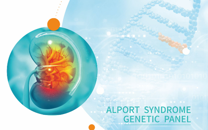 遗传性肾脏病基因检测